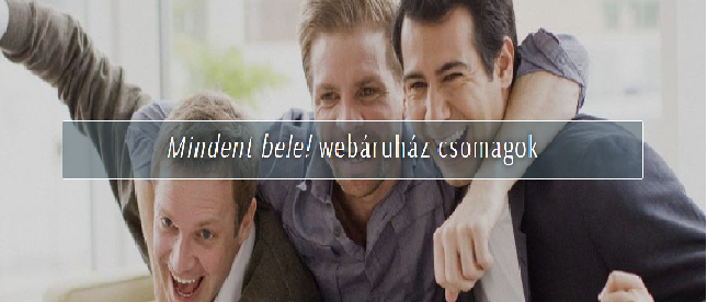 Viltor webshop készítés